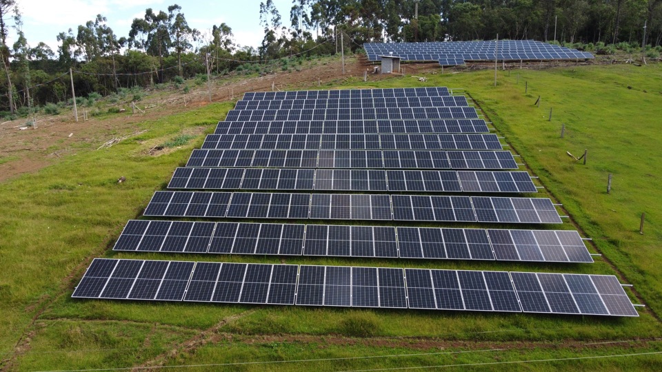 Usina solar em solo com fileiras de placas, vista de drone